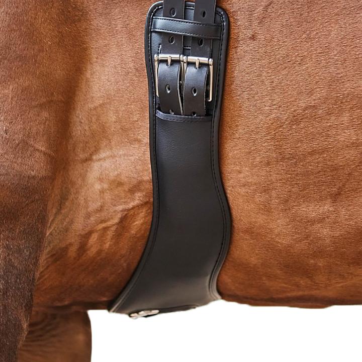 Image du produit Collegiate Sangle anatomique