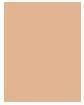 Image du produit Estée Lauder Double Wear Stay-In-Place (2C3 Fresque)