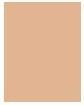 Actual product image Estée Lauder Double Wear Stay-In-Place (2C3 Fresco)