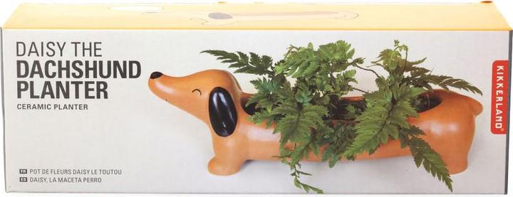 Produktbild Kikkerland Daschund (6 cm)