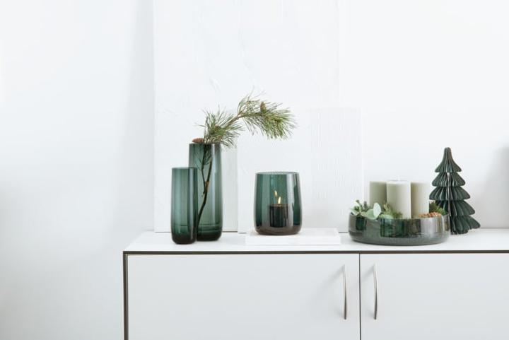 Produktbild ASA Selection Schale, grün (30 x 8 cm)