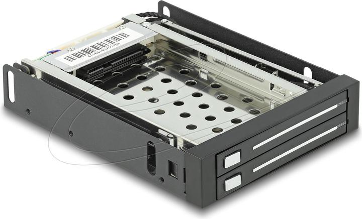 Delock Wechselrahmen für 2 x 2.5"HDD/SDD