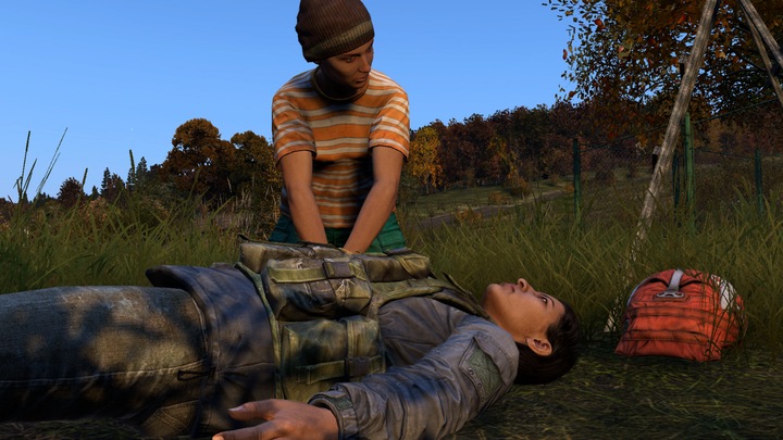 Produktbild Sold Out DayZ (PS4, DE)
