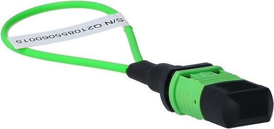 Immagine prodotto BlueLAN Adattatore Loopback BlueOptics MPO/MTP multimodale OM5