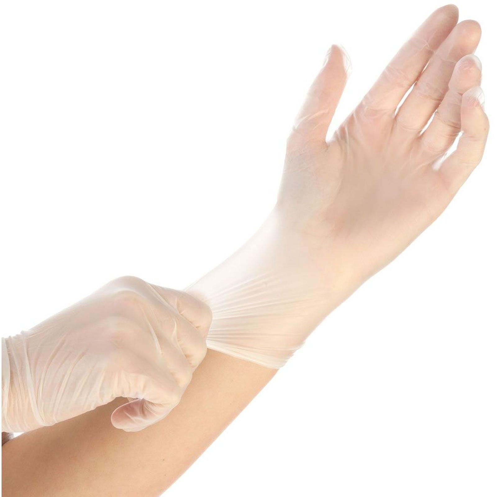 Hygostar, Guanti di sicurezza, Guanti monouso unisex CLASSIC trasparenti taglia L 100 pz. (L)