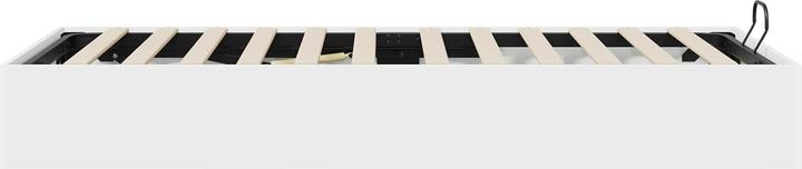 Produktbild vidaXL Aufbewahrungsbett (100 x 203 cm)