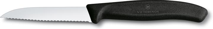Actual product image Victorinox Swiss Classic (8 cm)