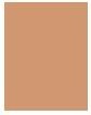 Image du produit Estée Lauder Double Wear Sheer (4N2 Sable épicé 4N2 Sable épicé)