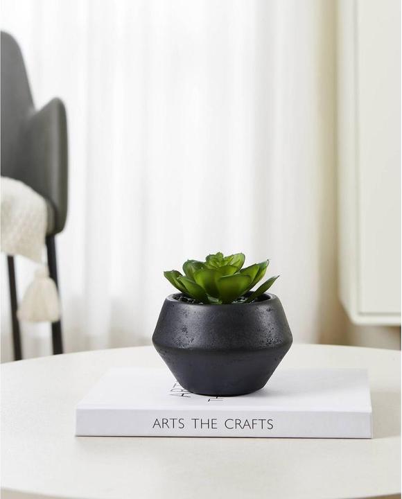 Immagine prodotto EGLO Kunstpflanze 11cm (11 cm)