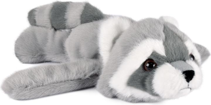 Doudou et Compagnie Schnapparmband Waschbär 25cm (MQ1) (45 cm)