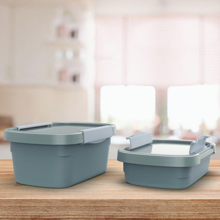 Image du produit Rotho Boîte de conservation ECO (0.80 l)