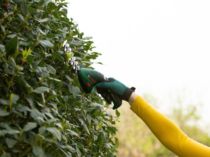 Actual product image Bosch Home & Garden Isio (Rechargeable battery operated)