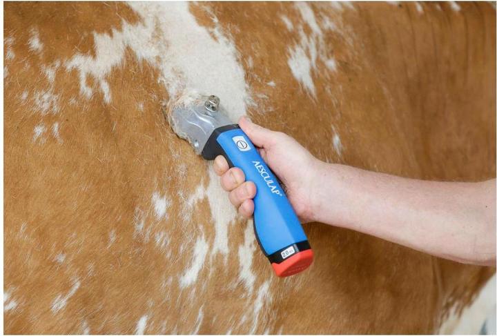 Actual product image Kerbl Cordless clipper Bonum cattle, 1 battery, blue (Vault)