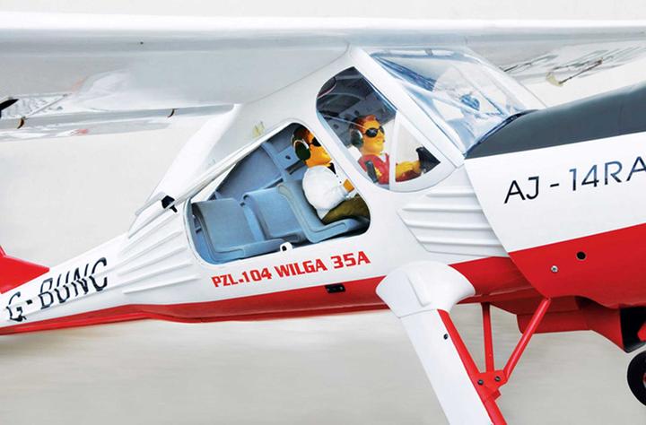 Actual product image Black Horse Wilga PZL-104 ARF 2240 mm (Multi motor)