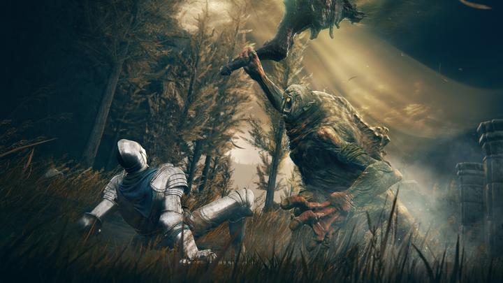 Image du produit Bandai Namco Elden Ring : Shadow of the Erdtree Edition /PS5 (PS5, EN)