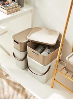 Actual product image Rotho Box12l Albula Cappuccino (12 l)