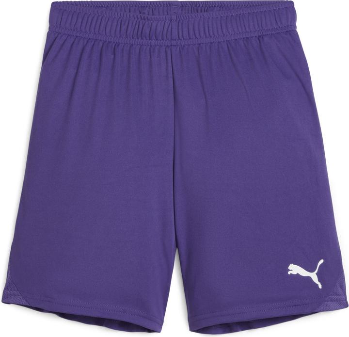 Actual product image Puma teamGOAL Shorts Jr (116)