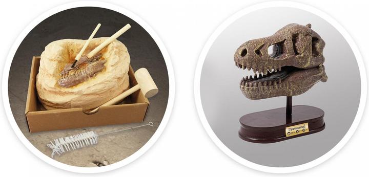Actual product image Buki Experiment kit dinosaur skull - Tyrannosaurus