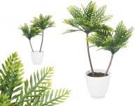 Immagine prodotto Ibergarden Impianto (60 cm)