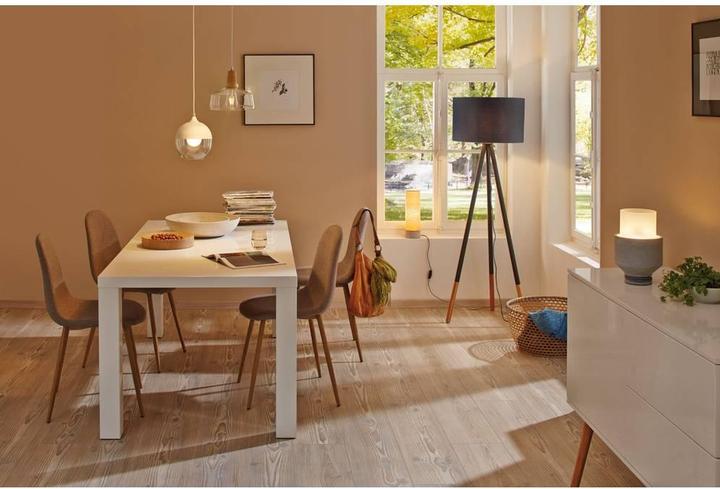 Image du produit Paulmann Neordic skadi (E14)