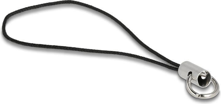 Actual product image Delock Mini (256 GB, USB-C)