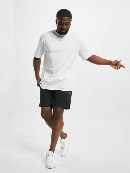 Immagine prodotto Dickies Pantaloncini in tessuto Pelican Rapids - 91859