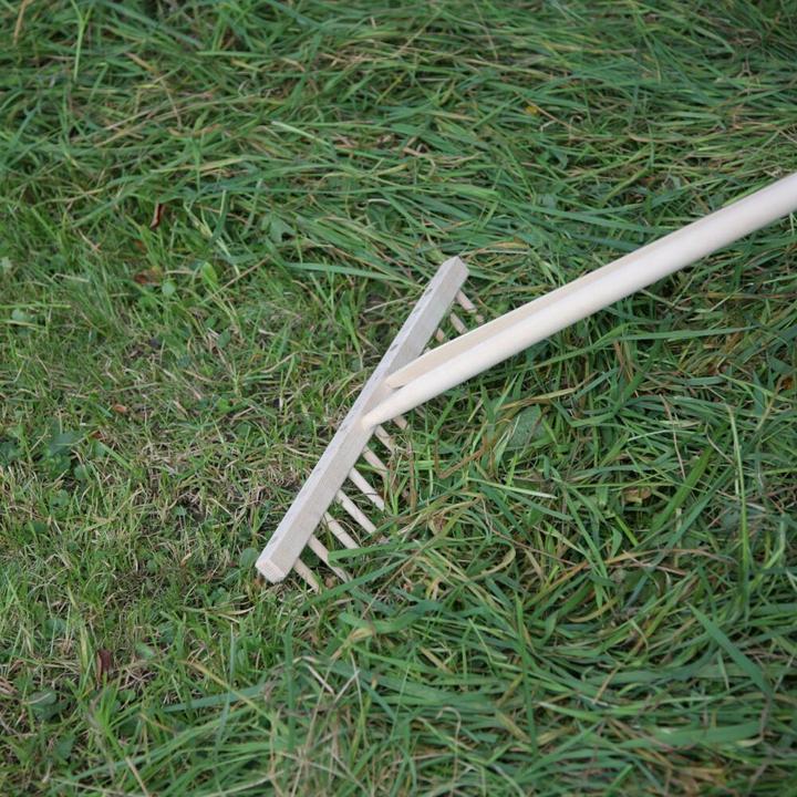 Actual product image Freund Victoria MINI hay rake 66670