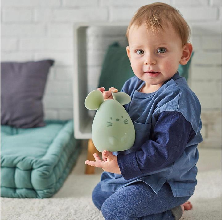 Image du produit Nattou Souris