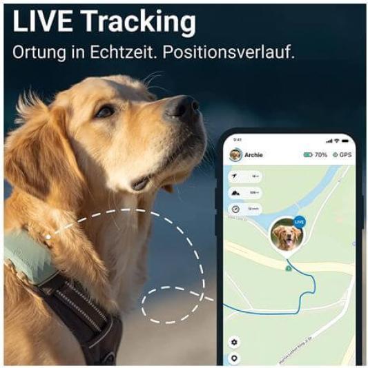 Produktbild Tractive GPS Dog (XL, Hund, Spazieren, Jogging, Hundesport)
