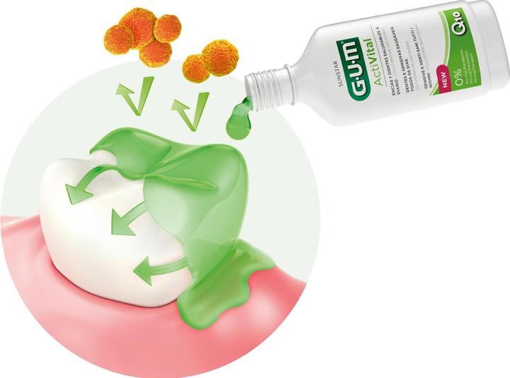 Actual product image GUM Activital Mouthwash (300 ml, Mouthwash)