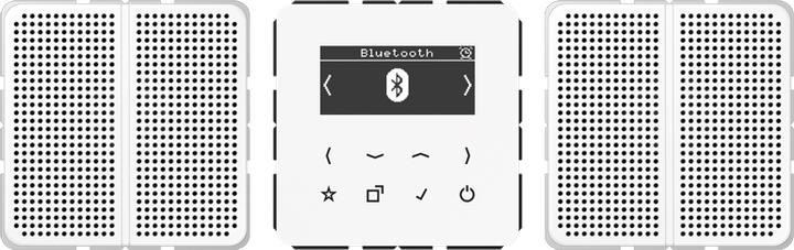 JUNG DABCD2BTWW Smart RadioDA (DAB+, FM, Bluetooth, Wi-Fi)