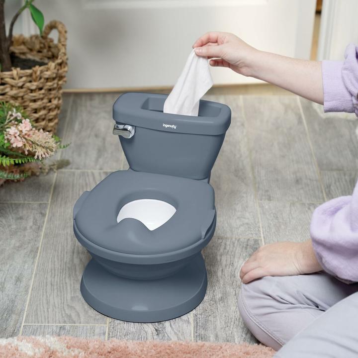 Actual product image Ingenuity Töpfchen Grau