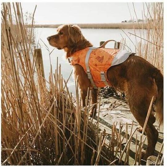 Immagine prodotto Hurtta Vita Salvatore ECO corallo circa 20-40kg (L, Gilet per cani)