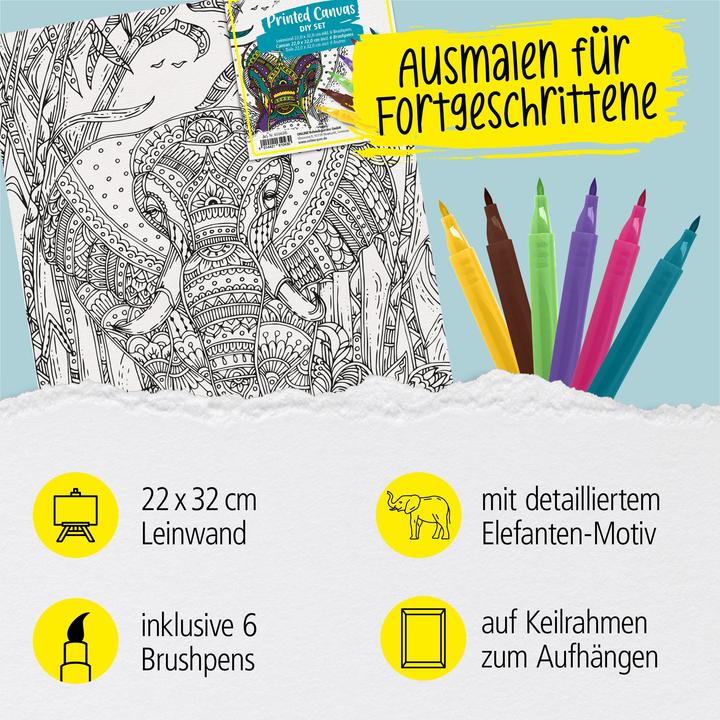 Actual product image Online Canvas set