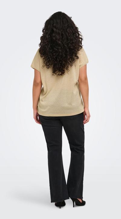 Immagine prodotto Only CARSILVERY Top Top (46, 48, M)