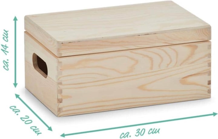 Actual product image Zeller Present All-purpose box (30 x 20 x 14 cm, 8.50 l)