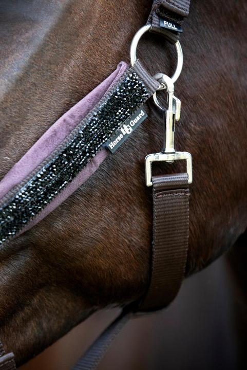 Immagine prodotto Horse Guard Angel