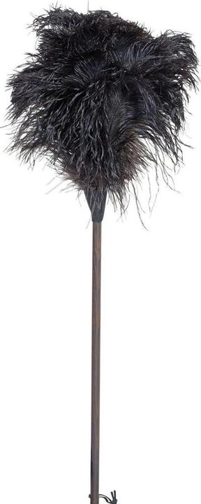Image du produit Bürstenhaus Redecker Fronde d'autruche