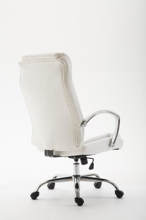 Image du produit CLP Vaud (48 - 58 cm)