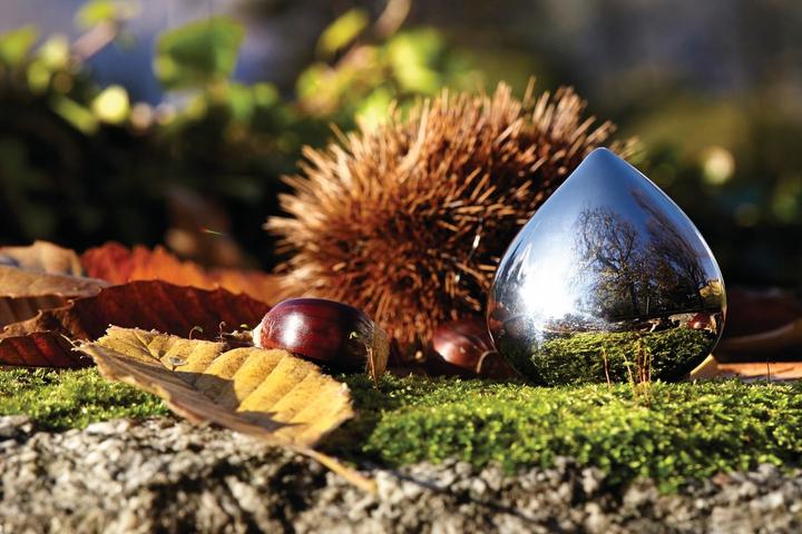 Image du produit Alessi Boîte à pilules Chestnut