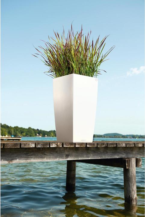 Actual product image Lechuza Cubico Color (39.50 cm)