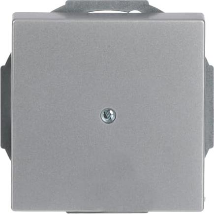 Actual product image Busch-Jaeger Central disk