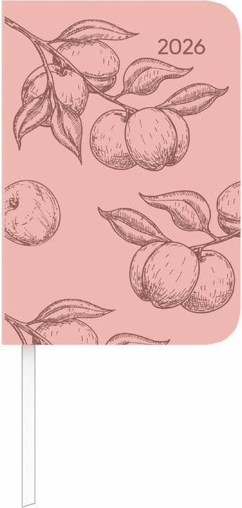 Produktbild Alpha Edition Lady Journal Mini Deluxe Salmon 2026 - Taschen-Kalender 8x11,5 cm - Tucson Einband - mit (A6, 1 Woche / 2 Seiten)