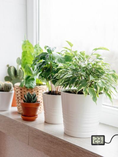 Produktbild TFA Digitales Thermometer