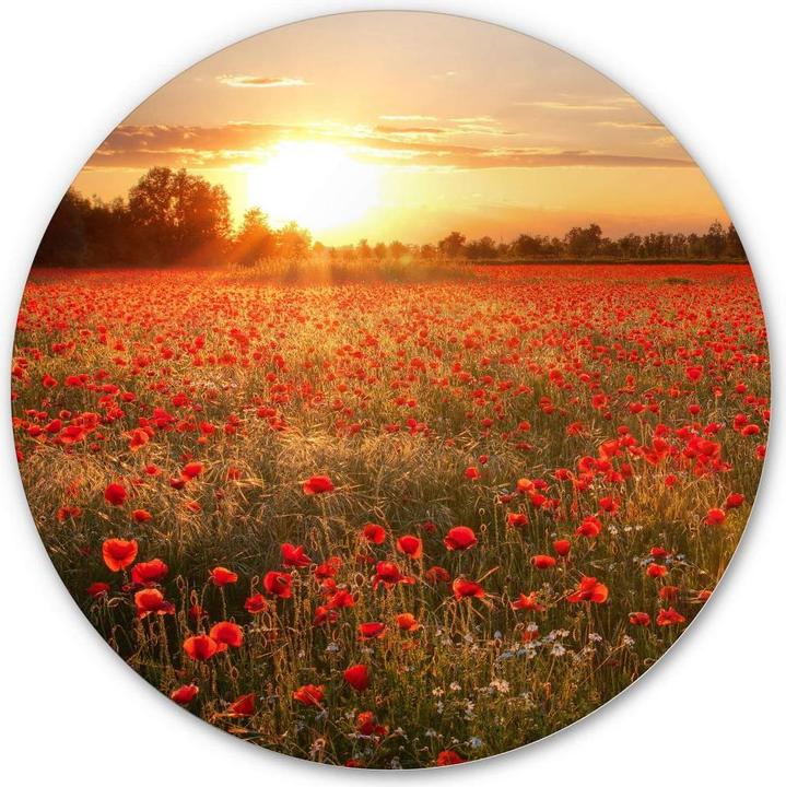 Actual product image Trenddeko Poppy field in sunset (Ø 30 cm)