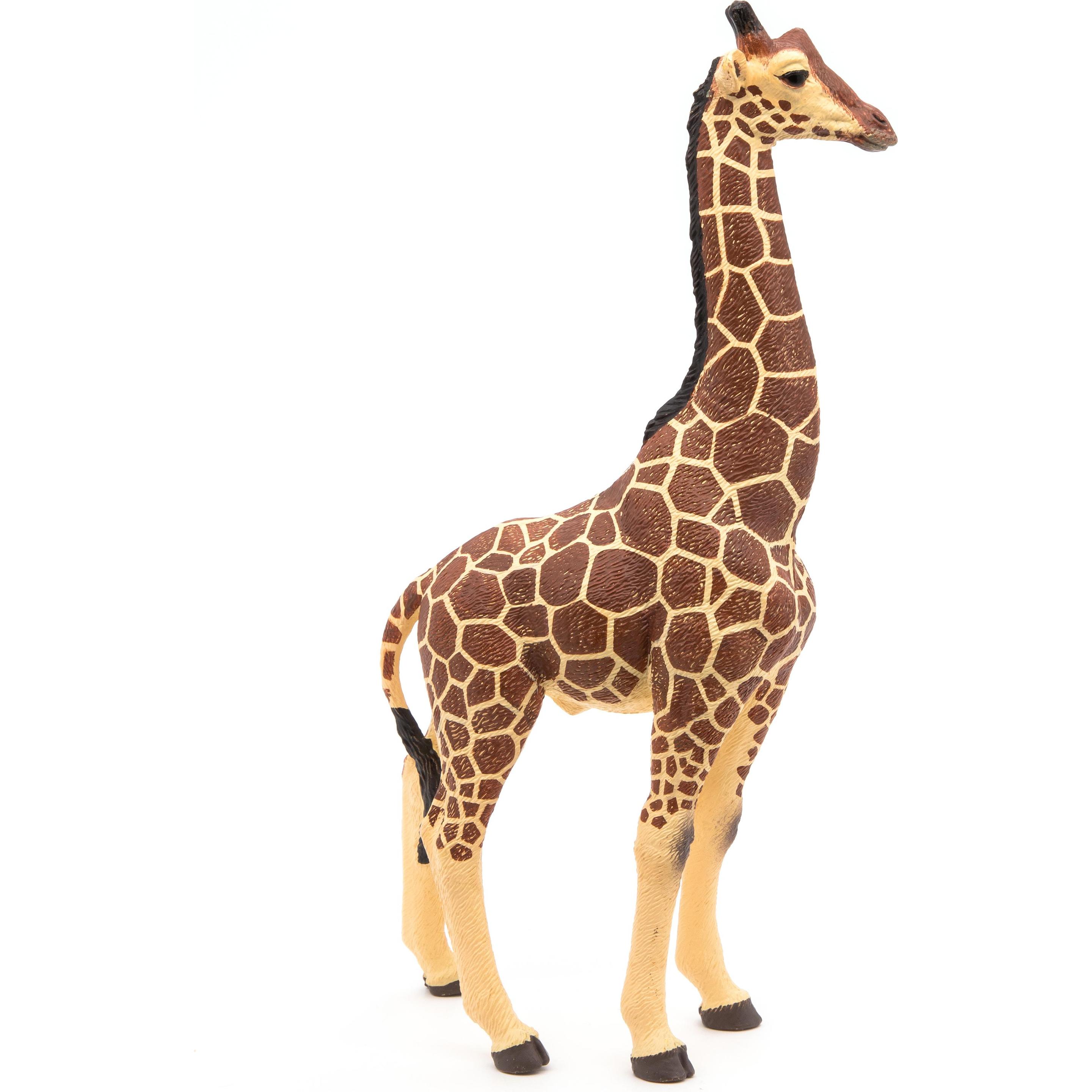 Thumbnail - Papo Giraffenmännchen