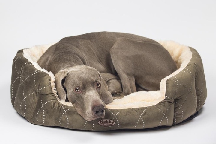Immagine prodotto Nobby Letto comfort ovale CENO (Cane)