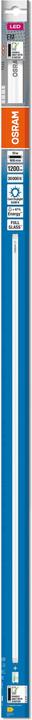 Immagine prodotto Osram Led Tube T8 Em (G13, 10 W, 1200 lm, 1 x, E)