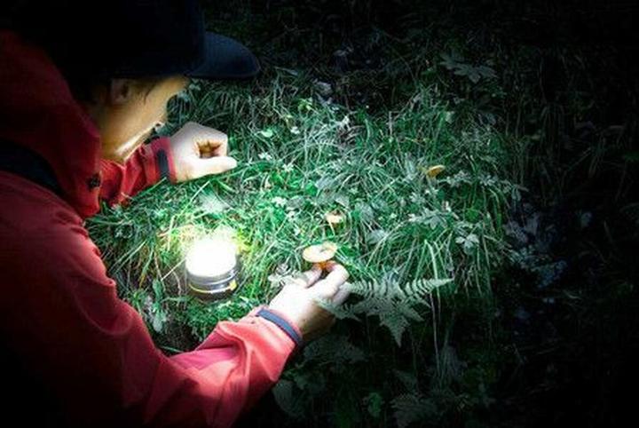 Image du produit Brennenstuhl CampingLight