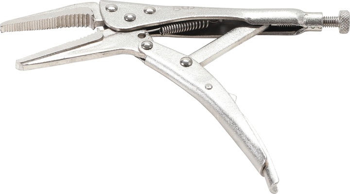 BGS Pinza di bloccaggio becco lungo 170 mm (170 mm)